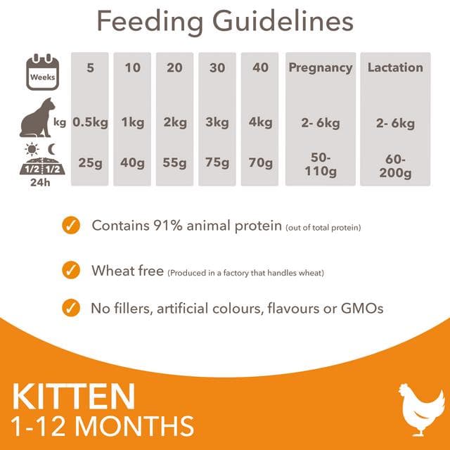IAMS 3kg Rich in Fresh Chicken Kitten 1 to 12 Months Dry Cat Food - gallery image 6