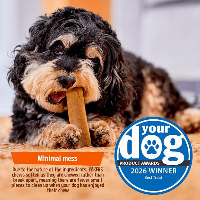 Yakers the Original 4 Months+ Small Dog Chew & Occupier - gallery image 3