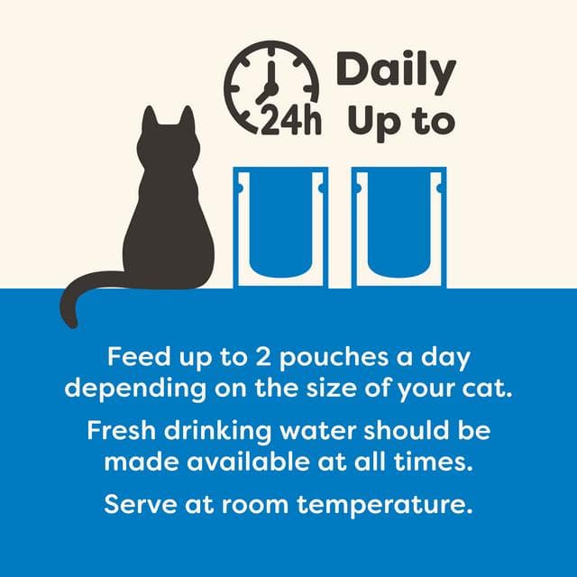 Applaws 12 x 70g Fish Selection in Broth Natural Wet Cat Food Pouches - gallery image 4