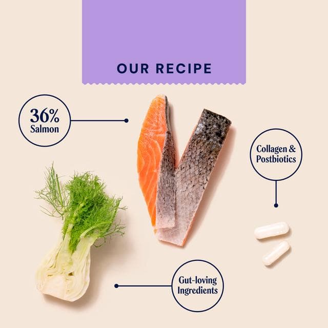 Pooch & Mutt 120g Health & Digestion with Salmon, Fennel & Postbiotics Dog Treats - gallery image 3