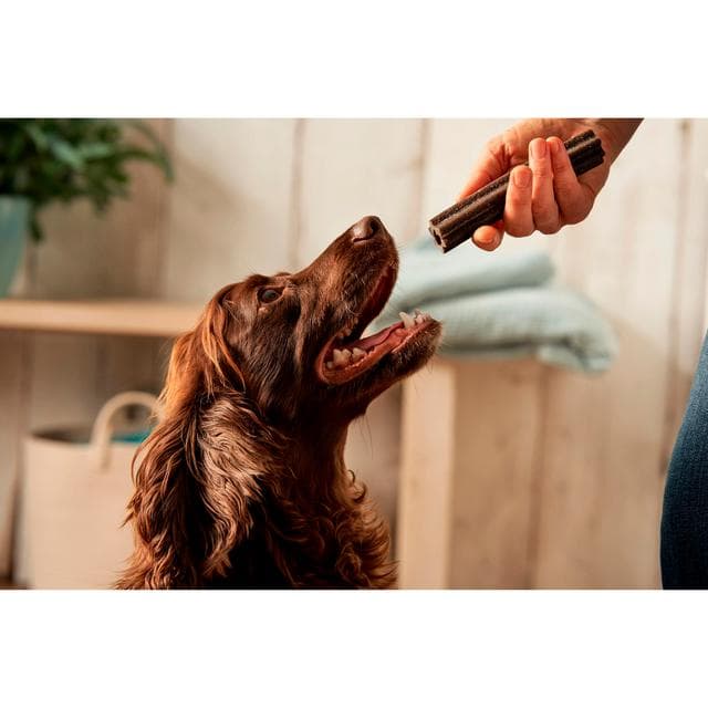 Forthglade 5 x Calming Dental Sticks Dog Treats 185g - gallery image 4