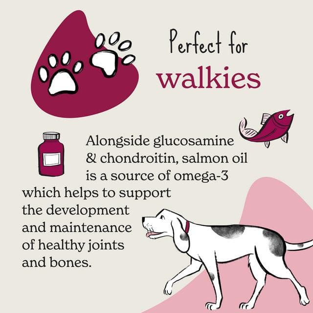 Forthglade 90g Joints & Bones Salmon Oil, Glucosamine & Chondroitin Natural Treats for Dogs - gallery image 2
