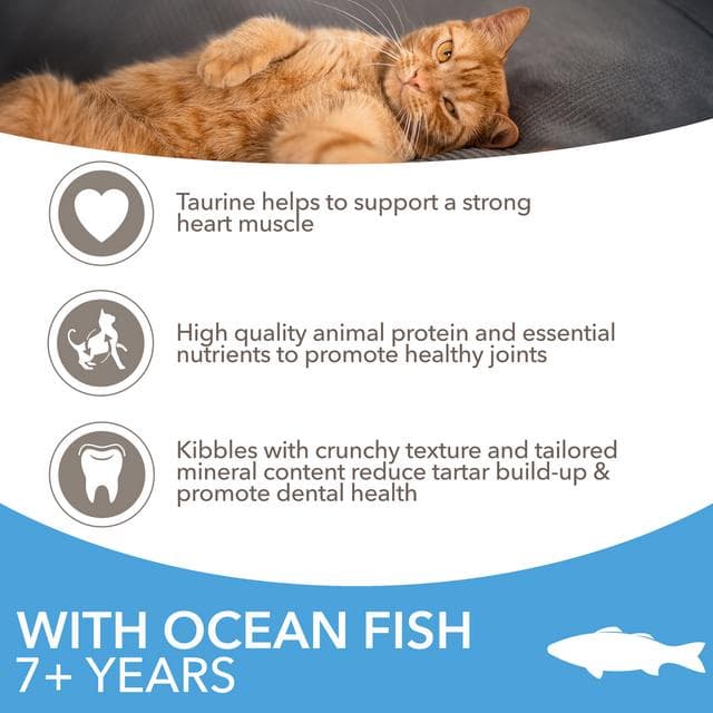 IAMS 3kg Advanced Nutrition 7+ Years Dry Cat Food with Ocean Fish - gallery image 3