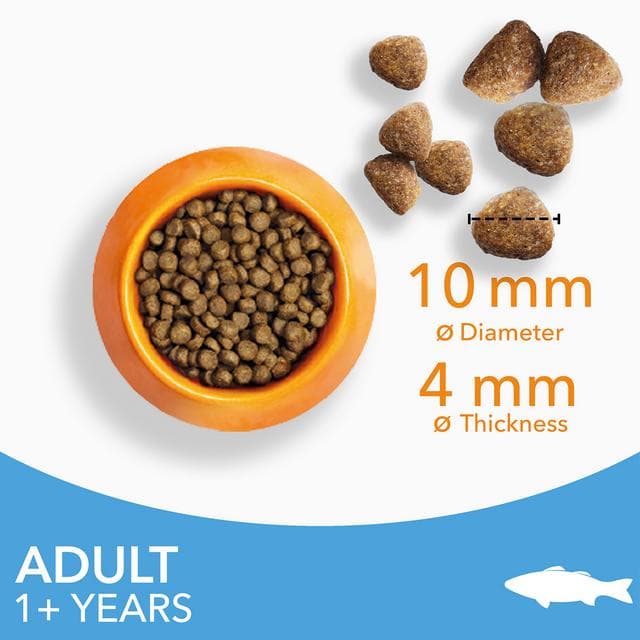 IAMS 3kg Advanced Nutrition 1+ Years Dry Cat Food with Ocean Fish - gallery image 4