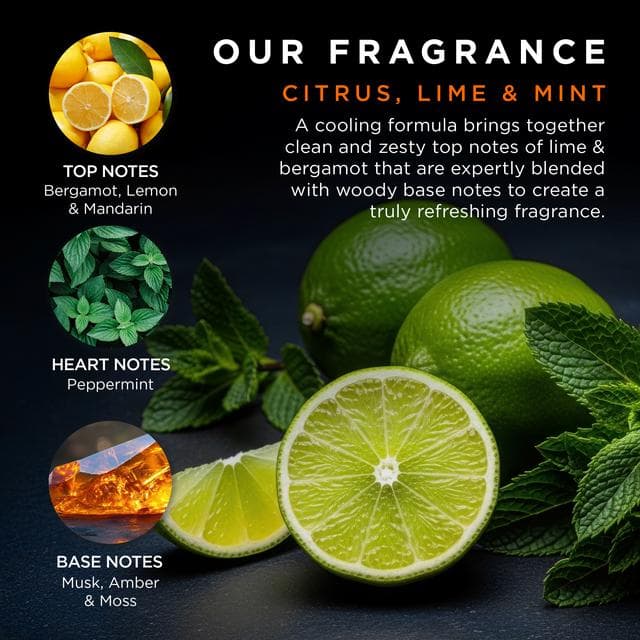 Baylis & Harding Citrus Lime Mint Dry Bag Essentials with Cooling Menthol - gallery image 4