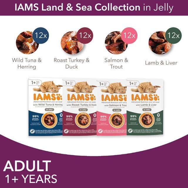 IAMS 48 x 85g Advanced Nutrition Meat & Fish Variety Mix in Jelly Wet Adult Cat Food - gallery image 3