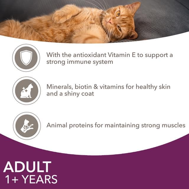 IAMS 48 x 85g Advanced Nutrition Meat & Fish Variety Mix in Jelly Wet Adult Cat Food - gallery image 4