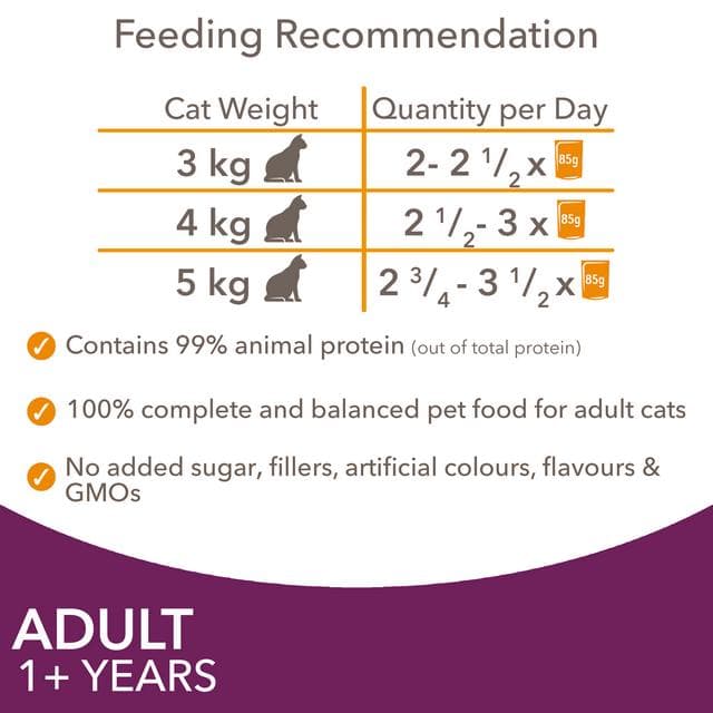 IAMS 48 x 85g Advanced Nutrition Meat & Fish Variety Mix in Jelly Wet Adult Cat Food - gallery image 6