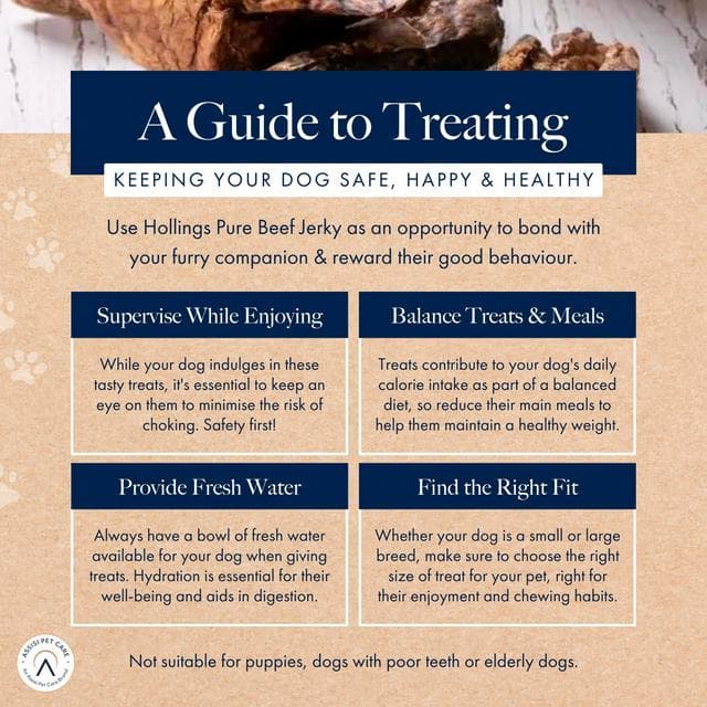 Hollings 100g Pure Beef Jerky Dog Treats - gallery image 6