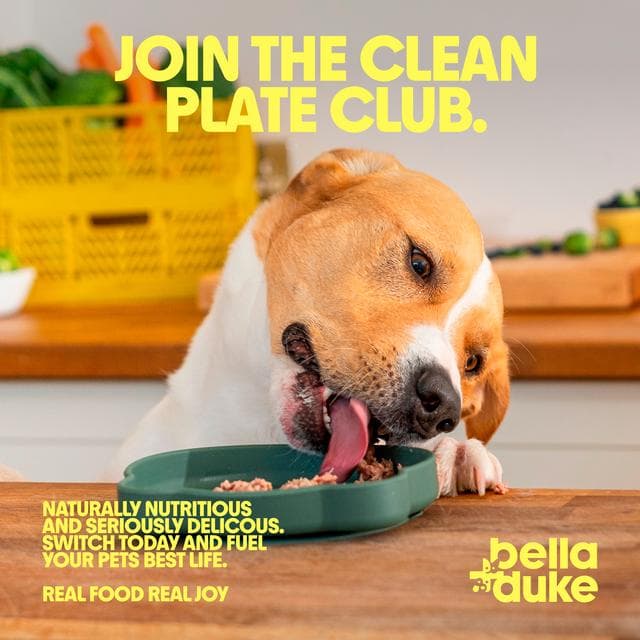 Bella + Duke 225g Chicken Meatballs Dog Food - gallery image 5