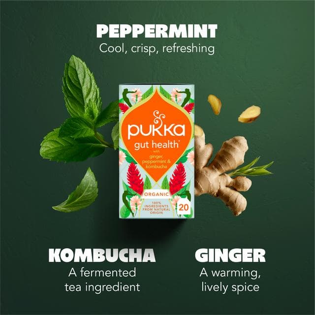 Pukka 20 x Organic Gut Health Ginger, Mint & Kombucha Herbal Tea Bags - gallery image 3