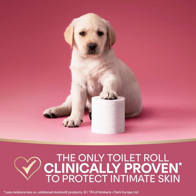 Andrex Skin Protect 8 x Standard Toilet Tissue Rolls - gallery image 2