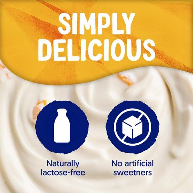 Alpro 400g Peach Passion Greek Style Big Pot Yoghurt - gallery image 3