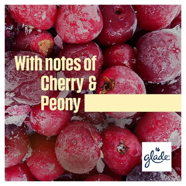 Glade ONE Festive Universal Capsule Refill, Frosted Floral Cherries, 1x13ml - gallery image 3