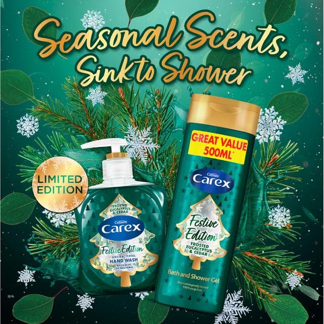 Carex 250ml Frosted Eucalyptus & Cedar Antibacterial Hand Wash, Festive Edition - gallery image 4