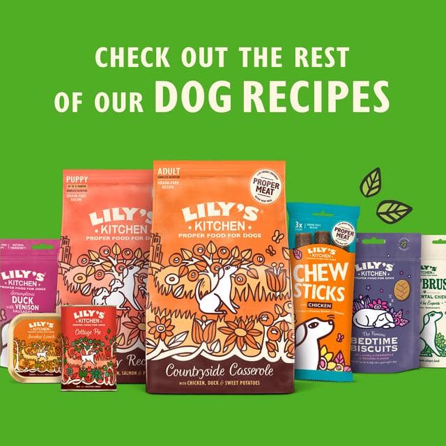 Lily's Kitchen 150g Pub Lunch Fish & Chips Wet Adult Dog Food - gallery image 6