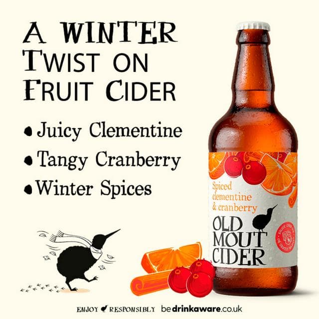 Old Mout Cider 500ml Spiced Clementine & Cranberry Bottle - gallery image 3
