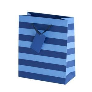 Sainsbury's Home Blue Stripe Medium Bag