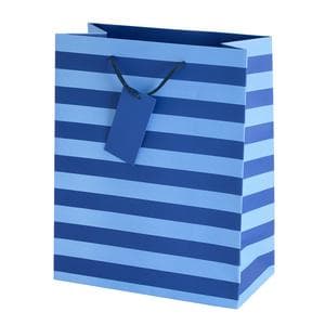 Sainsbury's Home Blue Stripe Large Bag