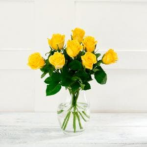 Simply Roses