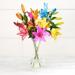 Fun Flowers Dyed Lilies