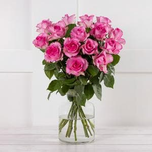Long Stem Roses Orange / Pink / Red