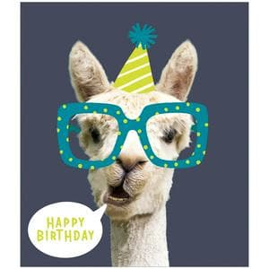 Sainsbury's Alpaca In Party Hat