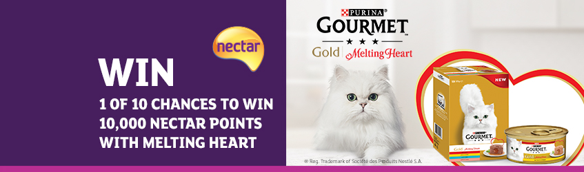 Gourmet cat store food melting heart