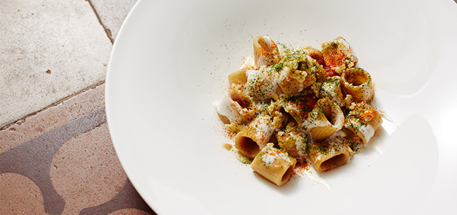 Tomato & aubergine Italian Pasta.