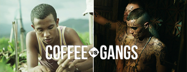 Coffee vs. Gangs - shows successful, young coffee grower & heavily tattooed gang member in contrast