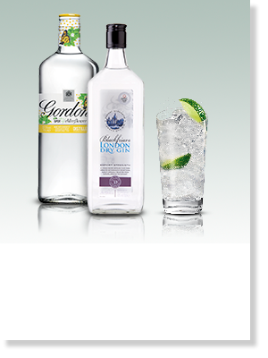 sainsburys blackfriars gin