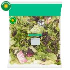 Sainsbury's Mixed Leaf Salad 200g