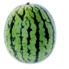 Sainsbury's Baby Watermelon