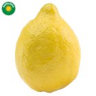 Sainsbury's Lemons