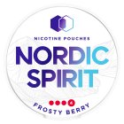 Nordic Spirit Frosty Berry Extra Strong Nicotine Pouches