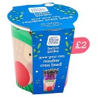 Sainsbury's Little Ones Festive Garden Grow Your Own Reindeer Cress Head