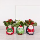 Sainsbury's Christmas Fun Ceramic