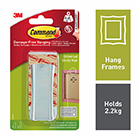 Command™ Universal Sticky Nail Silver, 1 Hanger and 2 Large Strips - Holds up to 2.2kg
