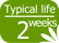 Typical life 2 weeks